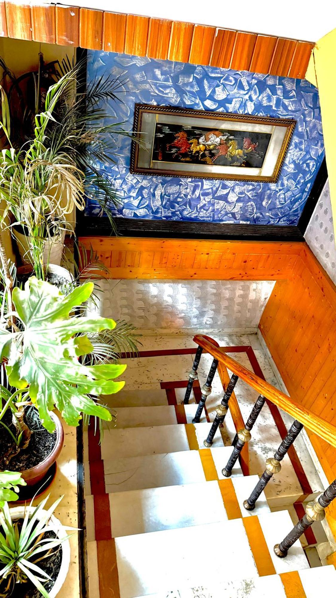 Hotel Apple Regency Shimla Ngoại thất bức ảnh